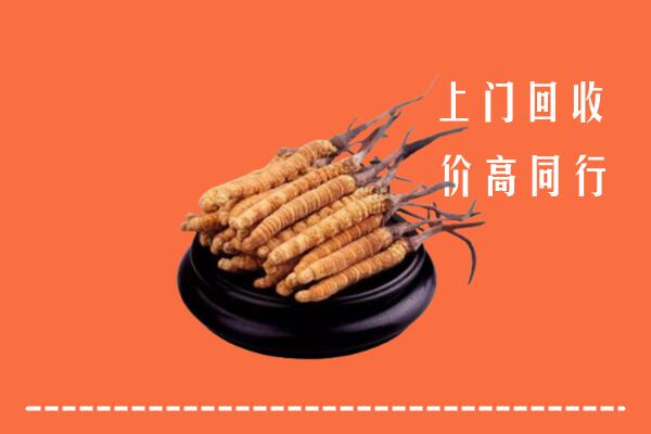 固原回收冬虫夏草
